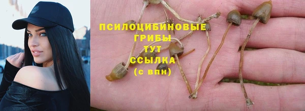 МДПВ Алексеевка
