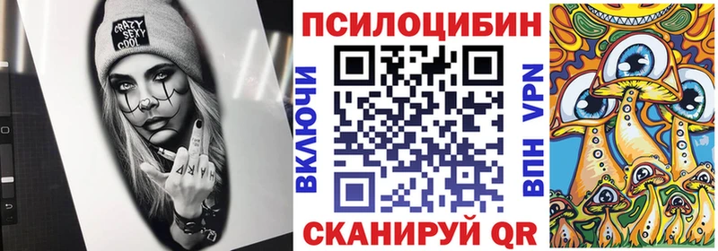 MEGA tor  хочу   Лихославль  Галлюциногенные грибы Psilocybe 